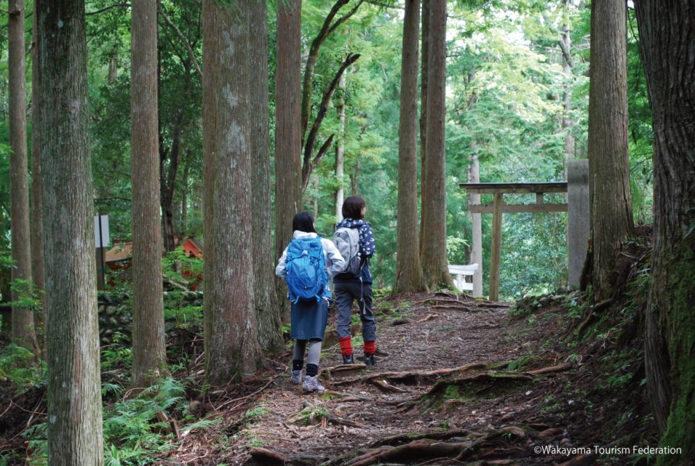 熊野古道