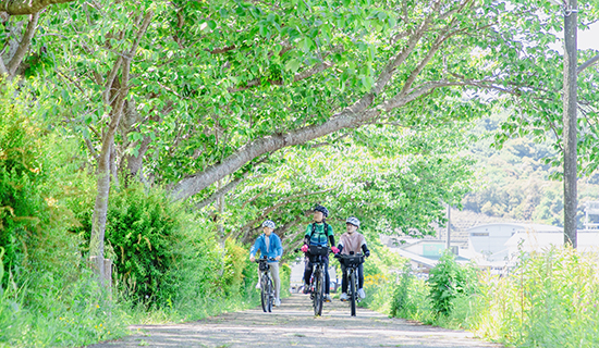 Cycling around Musubibito-Yoko Seto and Exit Kumano by E-bike
