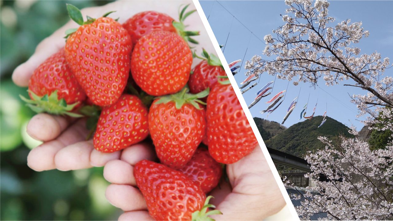 Spring Spot| Grand Mercure Wakayama Minabe Resort & Spa