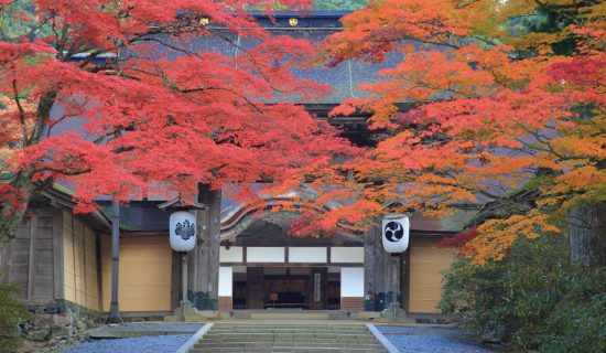 照片畫廊圖像|和歌山南部美爵溫泉度假酒店